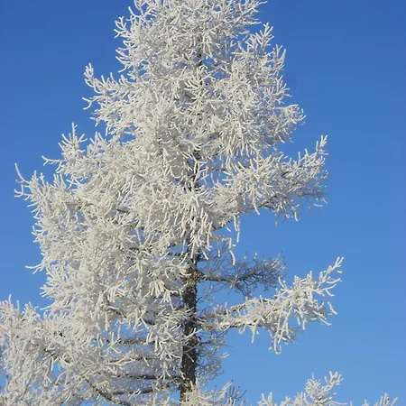 Gasthof Hunerkogel Πανσιόν