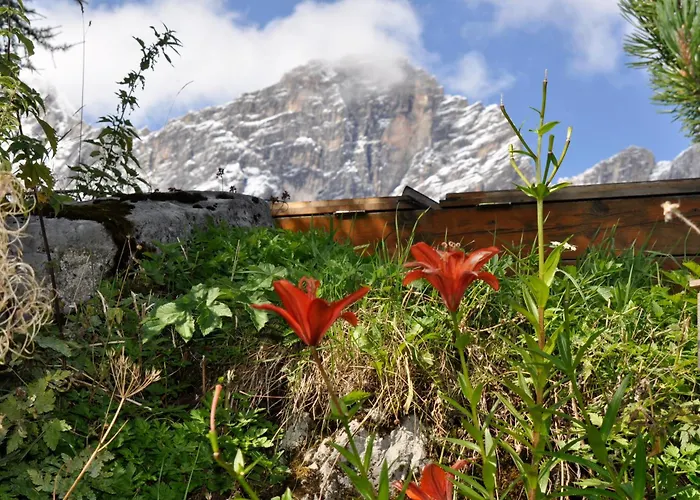 Guest house Gasthof Hunerkogel